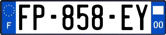 FP-858-EY