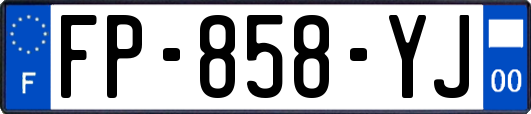 FP-858-YJ