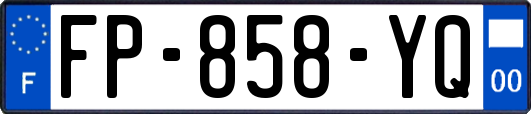 FP-858-YQ