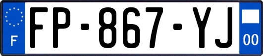 FP-867-YJ