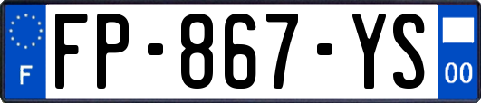 FP-867-YS