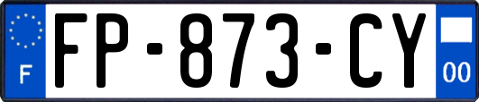 FP-873-CY