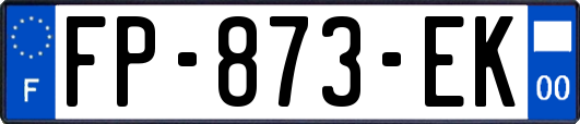FP-873-EK