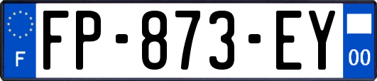 FP-873-EY