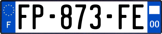FP-873-FE