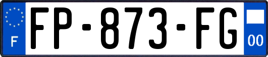 FP-873-FG