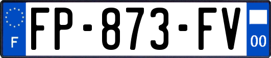 FP-873-FV