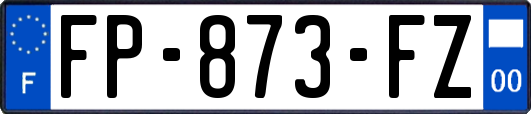 FP-873-FZ