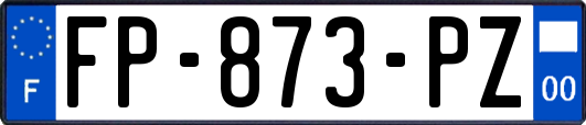 FP-873-PZ