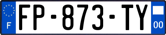 FP-873-TY