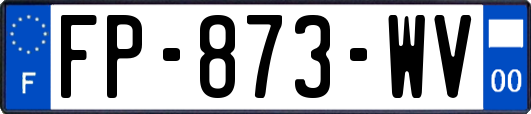 FP-873-WV