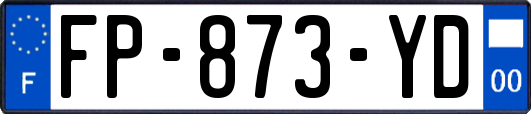 FP-873-YD