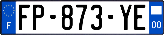FP-873-YE