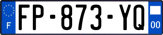 FP-873-YQ
