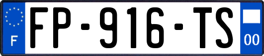 FP-916-TS