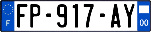 FP-917-AY