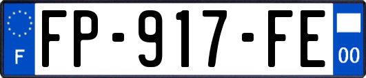 FP-917-FE