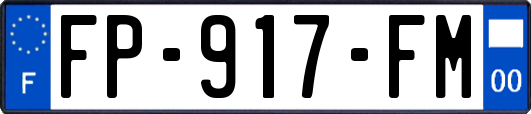 FP-917-FM