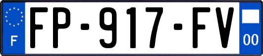 FP-917-FV