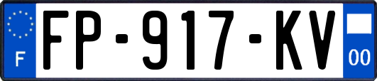 FP-917-KV