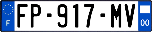 FP-917-MV
