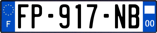 FP-917-NB