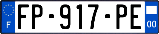 FP-917-PE