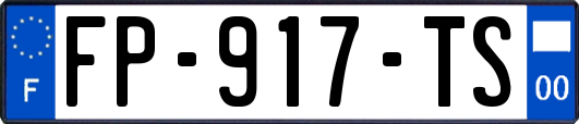 FP-917-TS