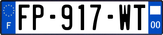 FP-917-WT