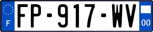 FP-917-WV