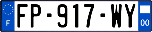 FP-917-WY