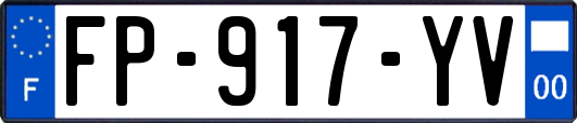 FP-917-YV