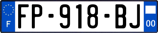 FP-918-BJ