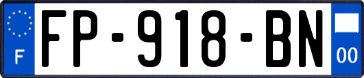FP-918-BN