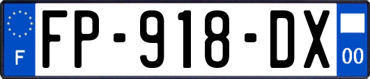 FP-918-DX