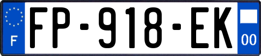 FP-918-EK