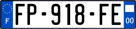 FP-918-FE