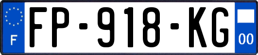 FP-918-KG