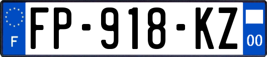 FP-918-KZ