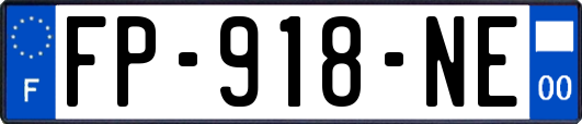 FP-918-NE