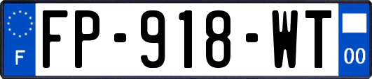 FP-918-WT