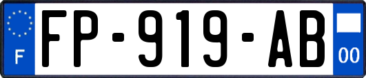 FP-919-AB