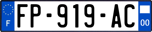 FP-919-AC