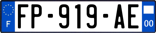 FP-919-AE