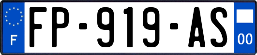 FP-919-AS