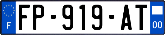 FP-919-AT