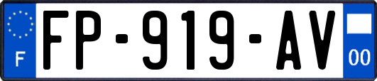 FP-919-AV