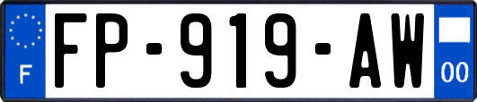 FP-919-AW