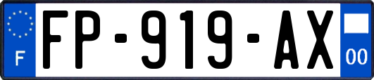 FP-919-AX