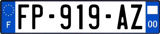 FP-919-AZ